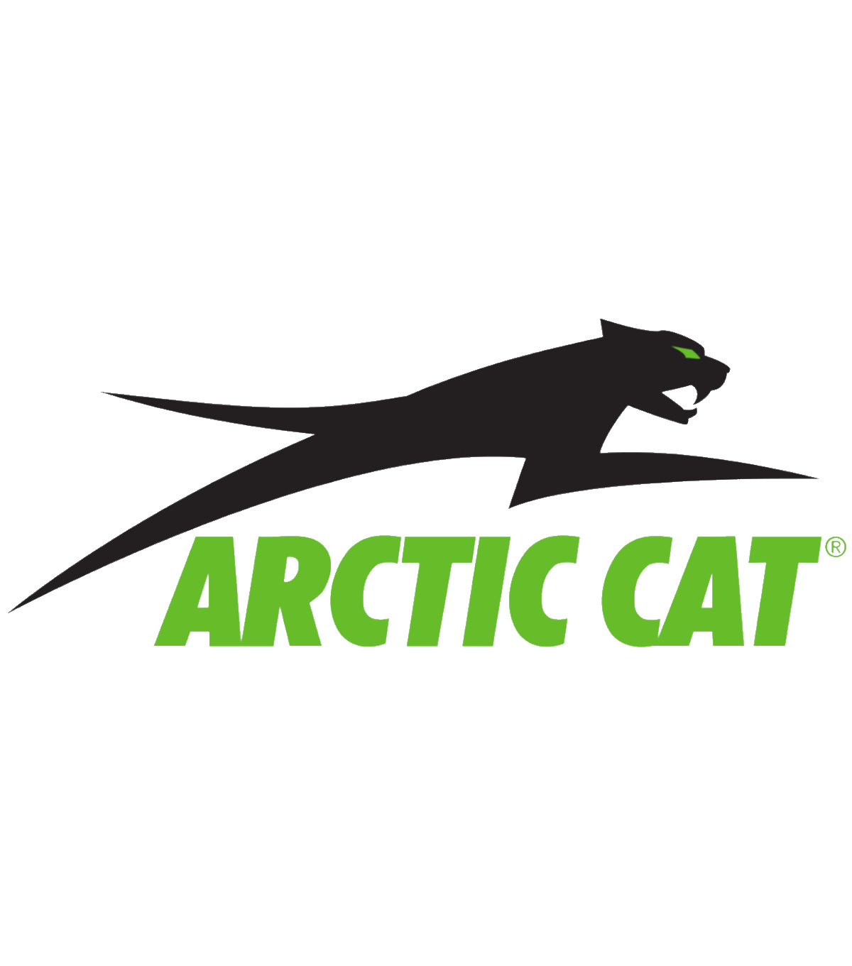 Arctic Cat
